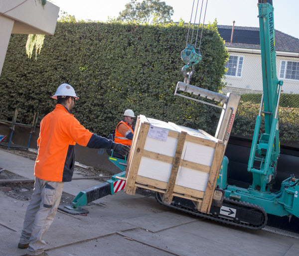 SVSR - Crane features